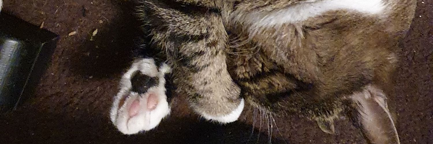 VNEelco's profile banner image