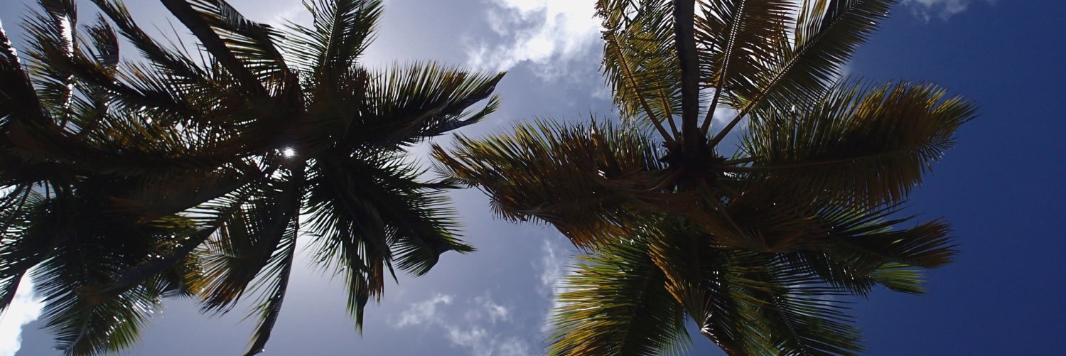 rogersali_'s profile banner image