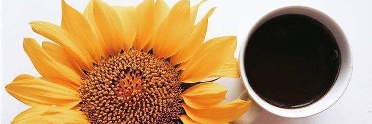 IsabeliRocha_'s profile banner image