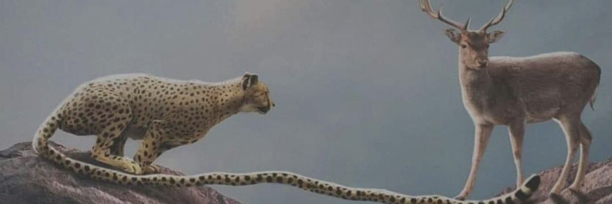 BIshop ikmohit banner