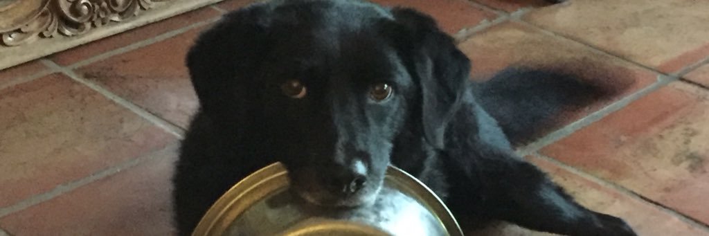 Andy Grieve @AndrewPGrieve@mstdn.social banner