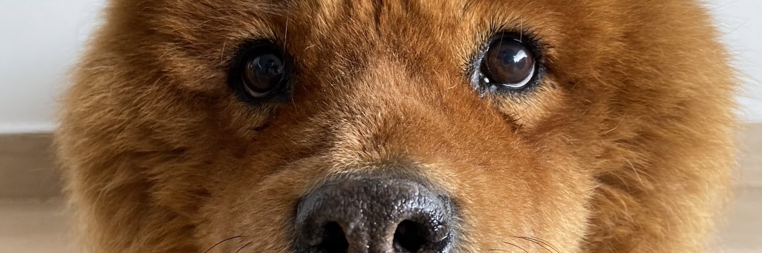 SteveBaconn's profile banner image