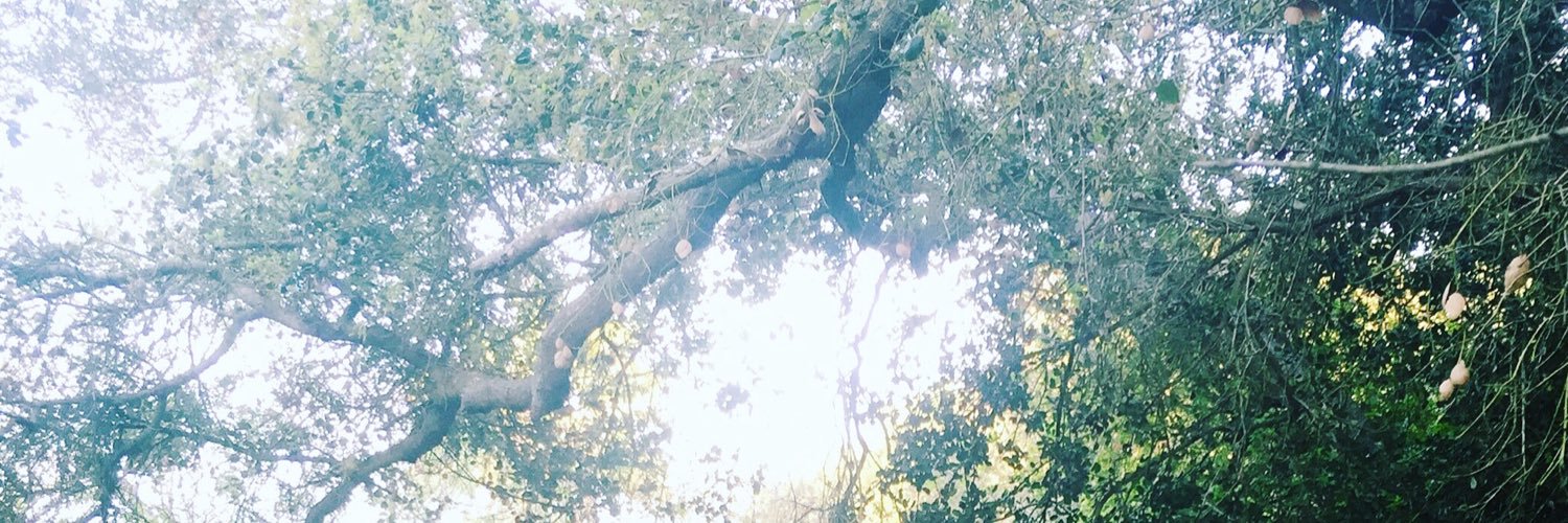 _kimberleemae's profile banner image