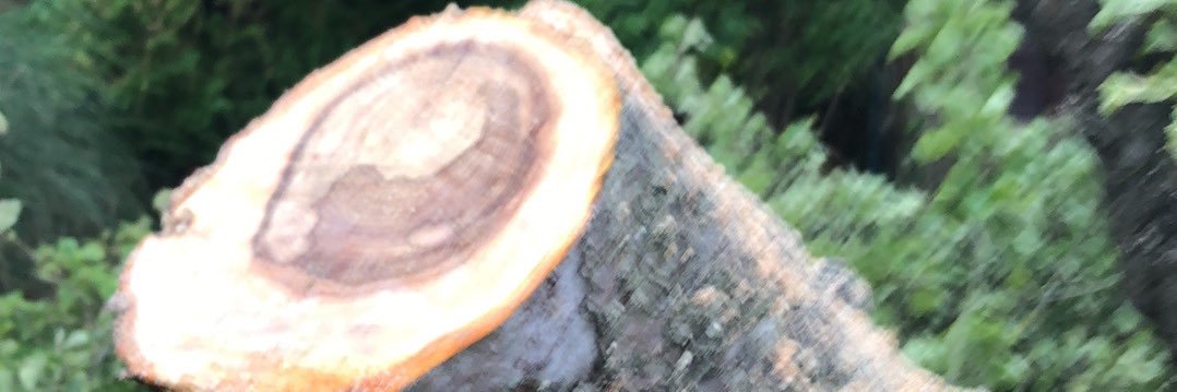 Gogsy10's profile banner image