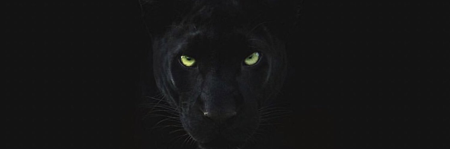 jakesmithy16's profile banner image