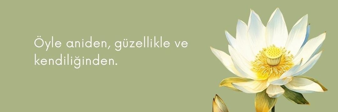 1zmnlar's profile banner image