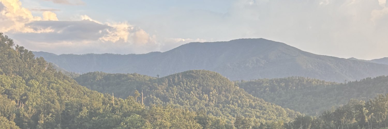 RedheadedIvy's profile banner image