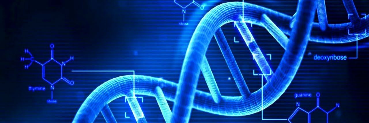 Tapani Ganja II banner