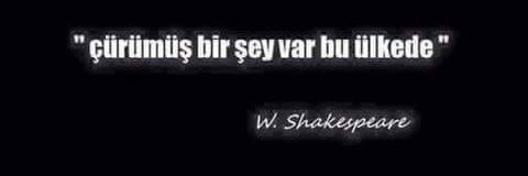 HandanCoskun21's profile banner image