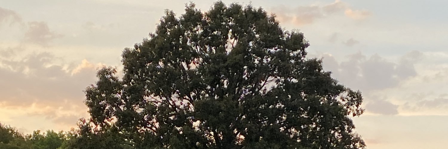 LRRabelo's profile banner image