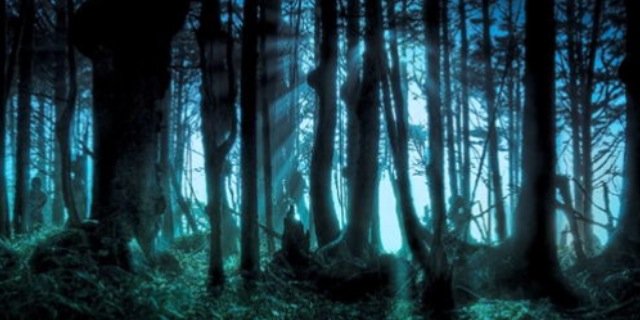 misskayce's profile banner image