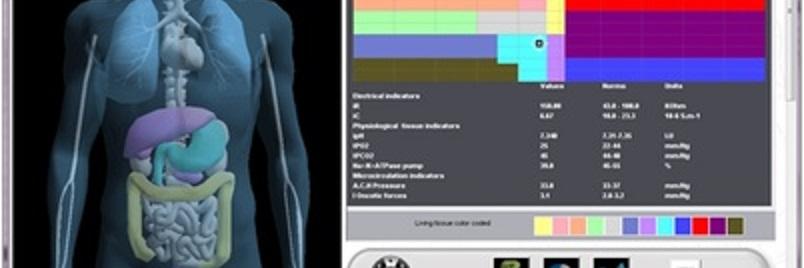 HolisticIn's profile banner image