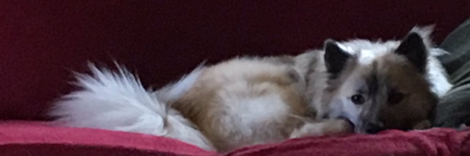 ktyost369's profile banner image