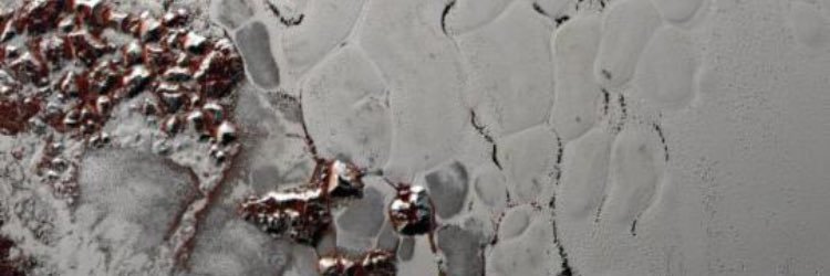 haley_duggan's profile banner image