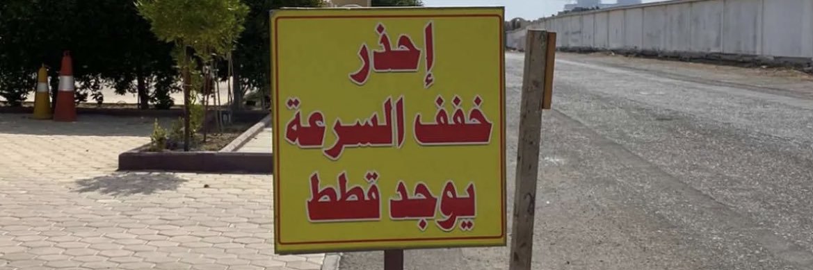 Amal banner