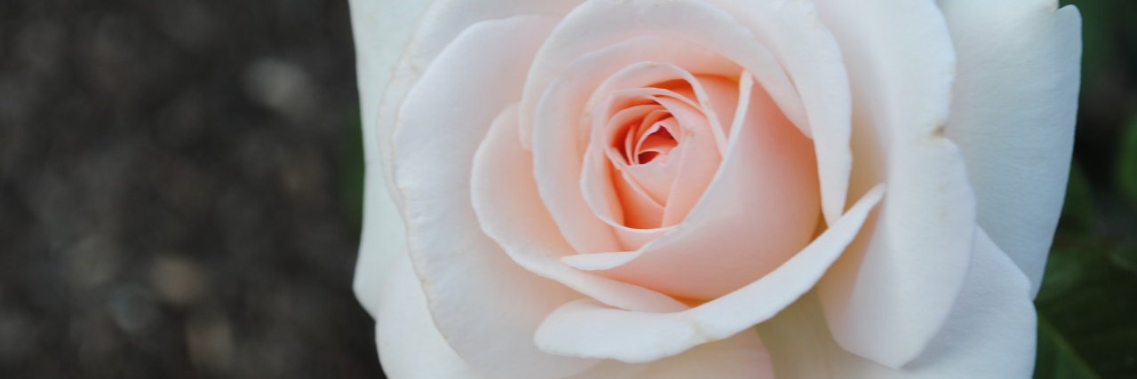 stefani_page's profile banner image