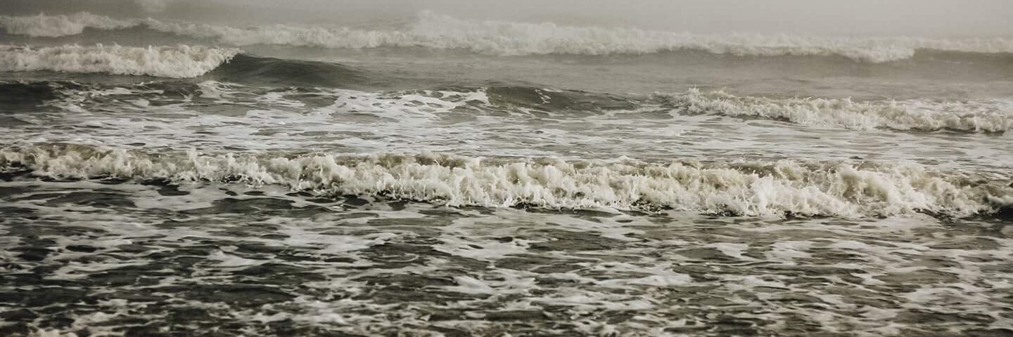 MichaelaReddel's profile banner image