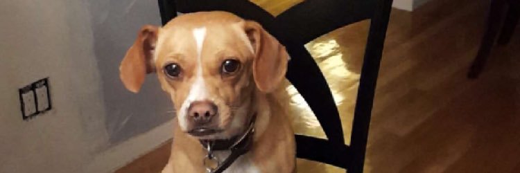 cassidyassad's profile banner image