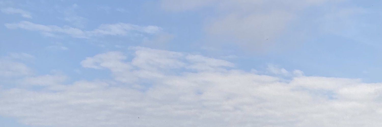 skyzbea's profile banner image