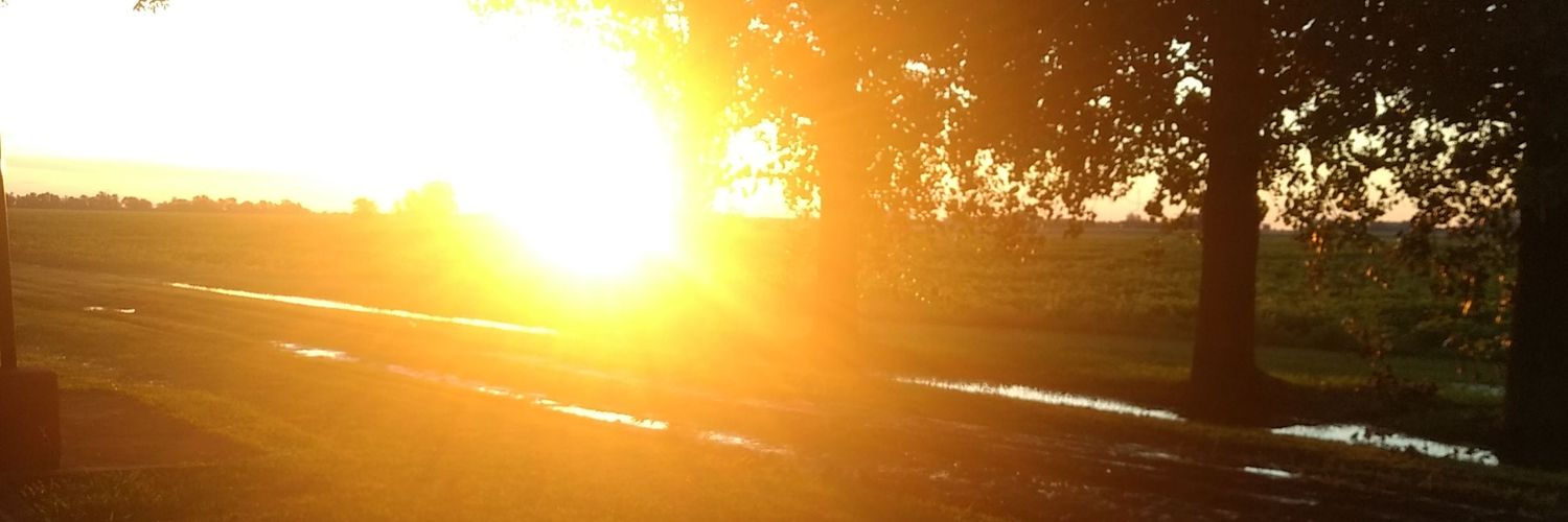 julimosso's profile banner image