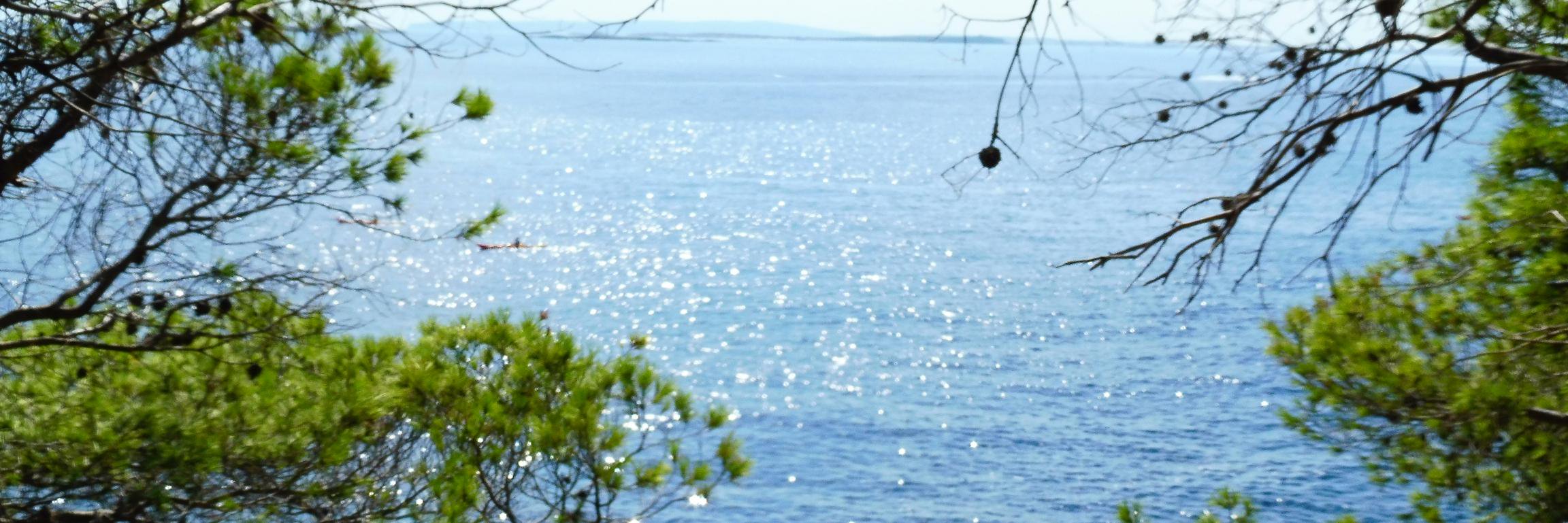 LauraBoloMar's profile banner image