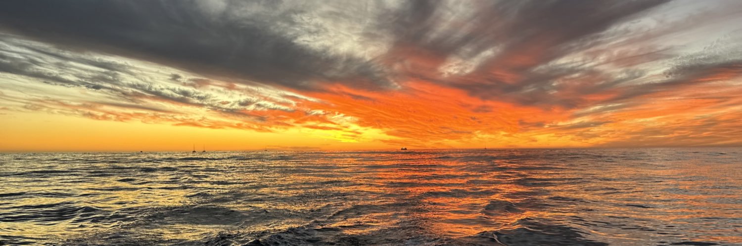 weedxpress's profile banner image