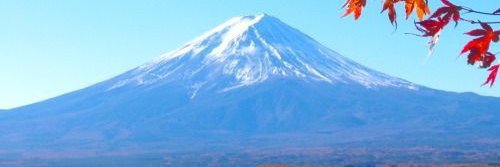 渡邉となみ banner