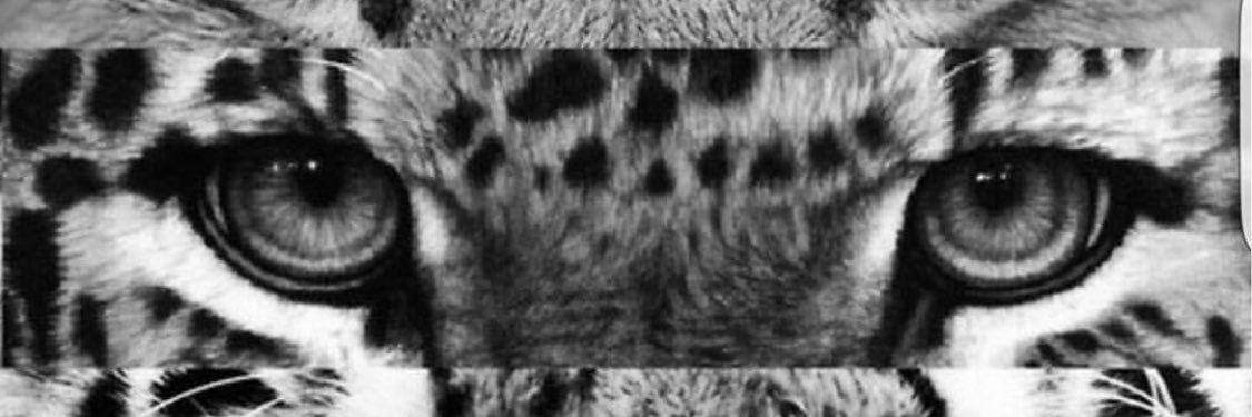CynthiaOldham's profile banner image