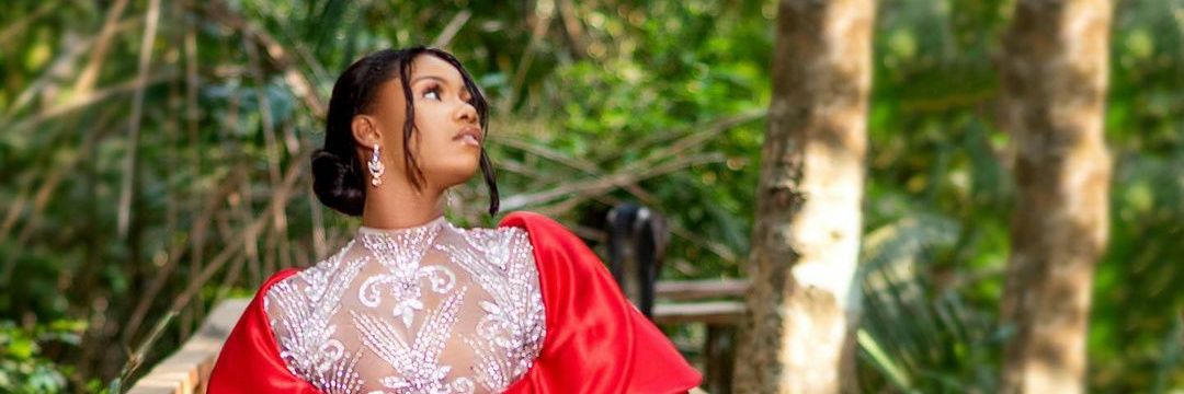 Dinmaswit's profile banner image