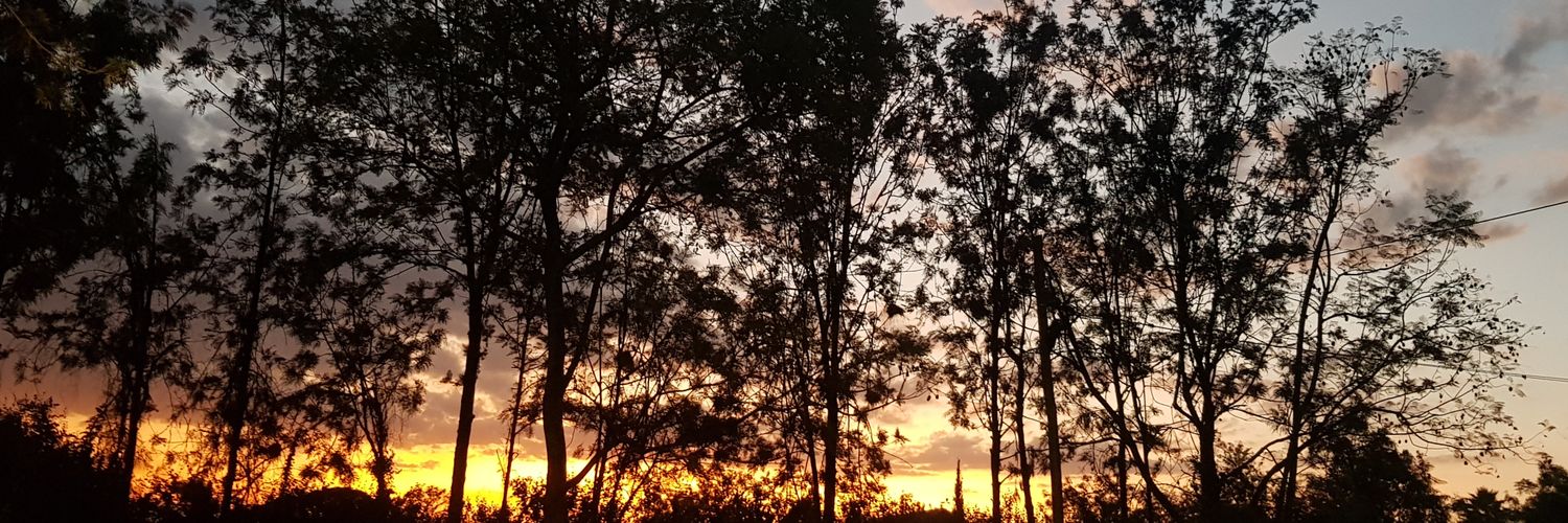 Ms_mutwiri's profile banner image