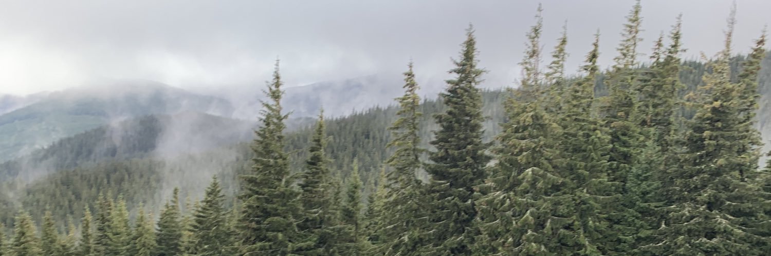 baskind's profile banner image
