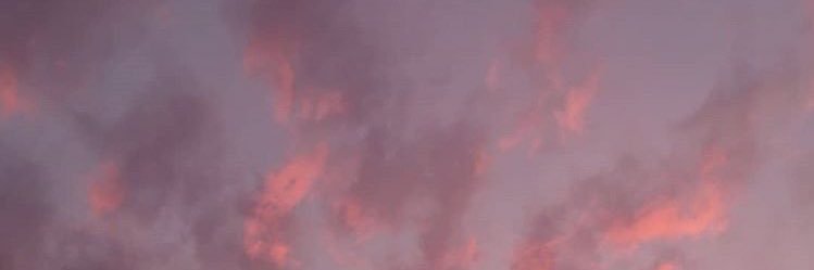 Cotimsalinas's profile banner image