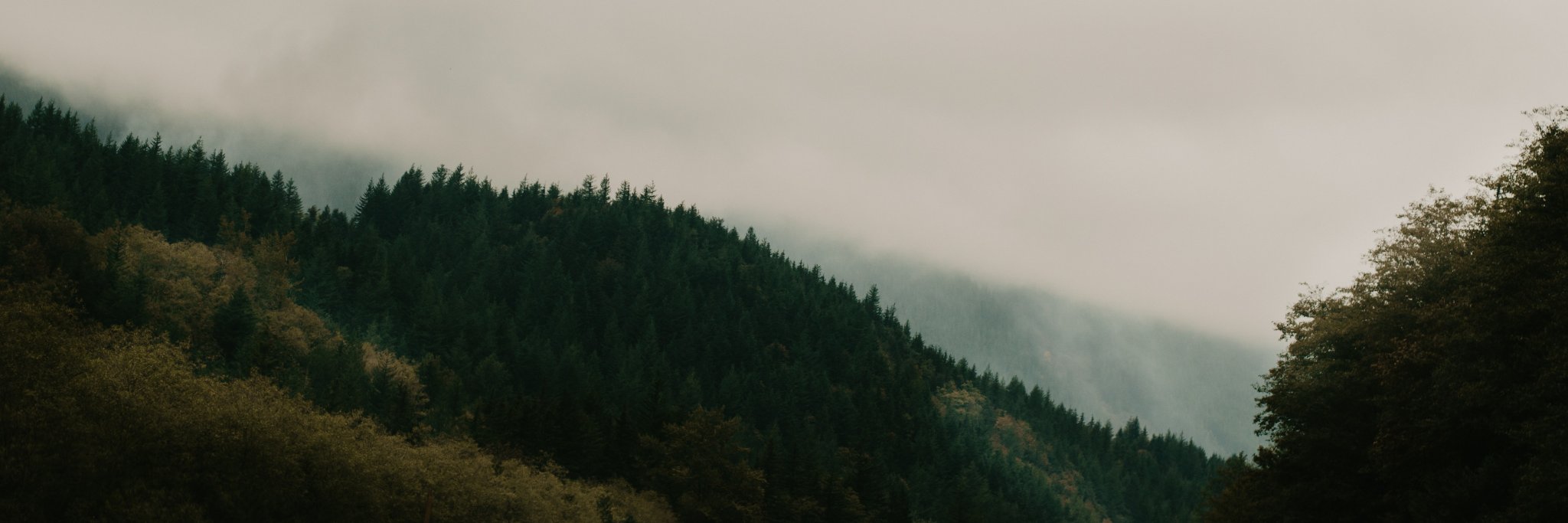 aimeew1229's profile banner image