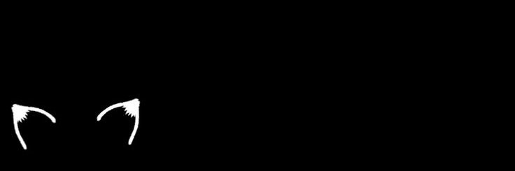 kir_ester's profile banner image
