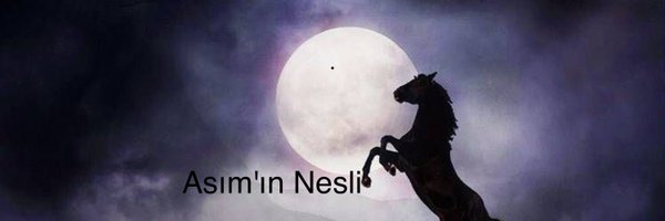 HanAsutay Profile Banner