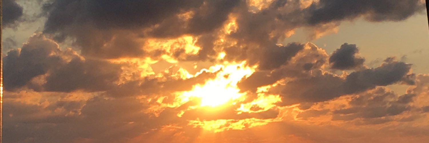 schorzepa321's profile banner image