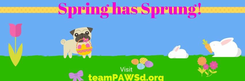 teamPAWSd's profile banner image