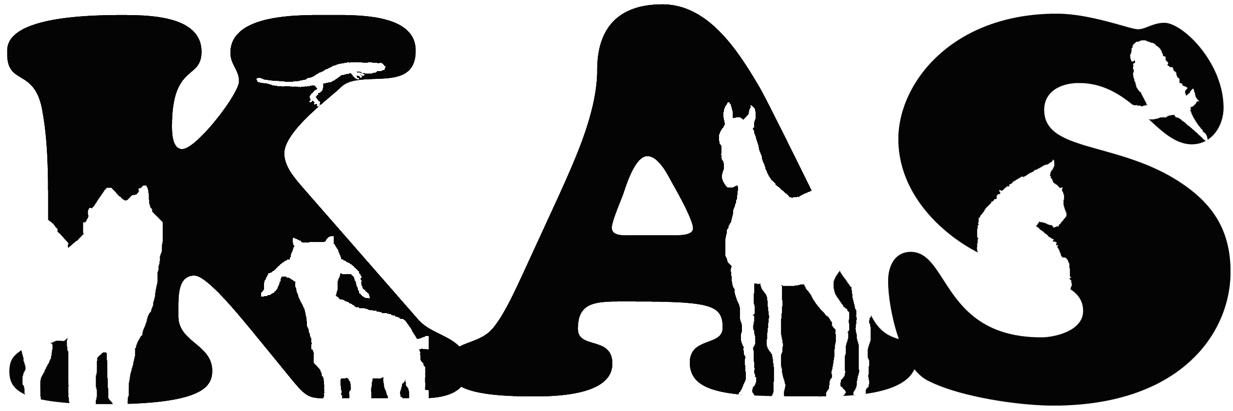 HangingWithKAS's profile banner image