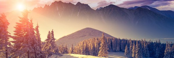 ChandlerBorders Profile Banner