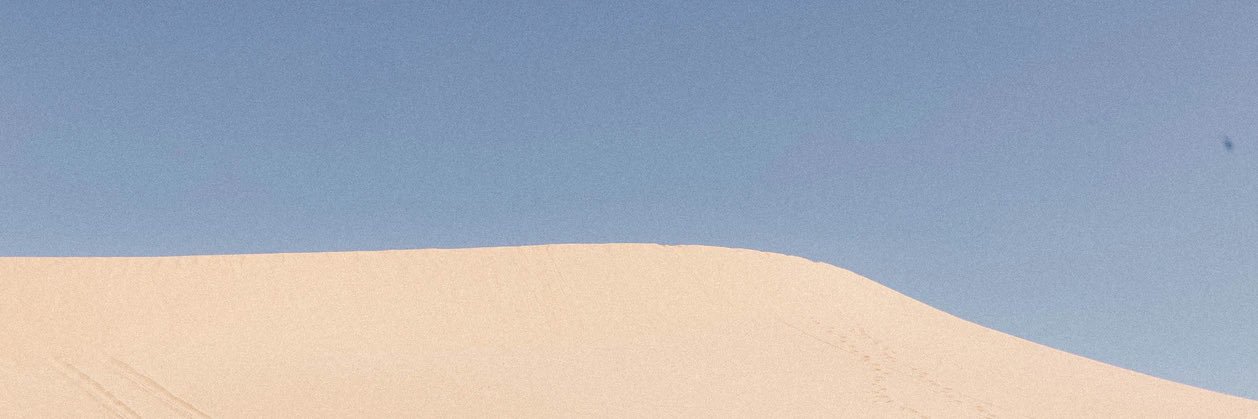 petal_al's profile banner image