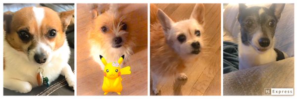 cocobaby6 Profile Banner