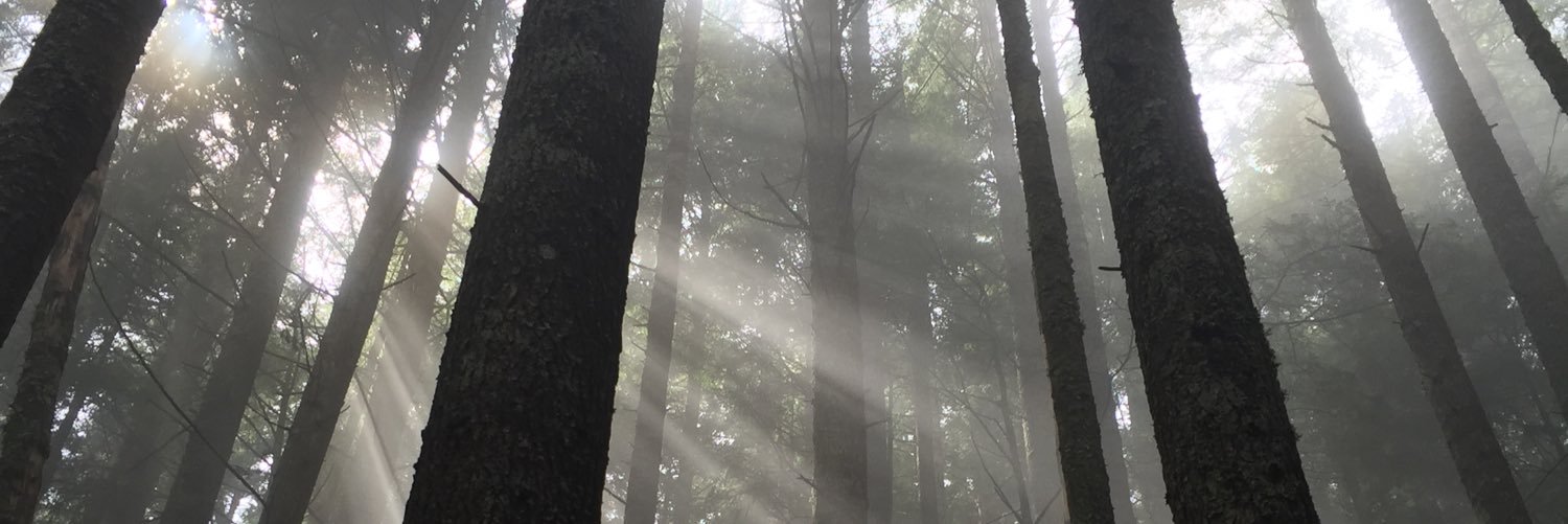 greg_orr's profile banner image