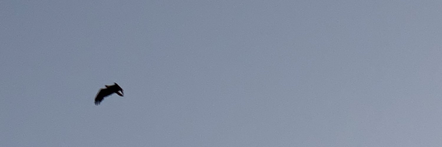 MazzanteConner's profile banner image