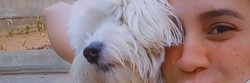 Fredely C♥ banner