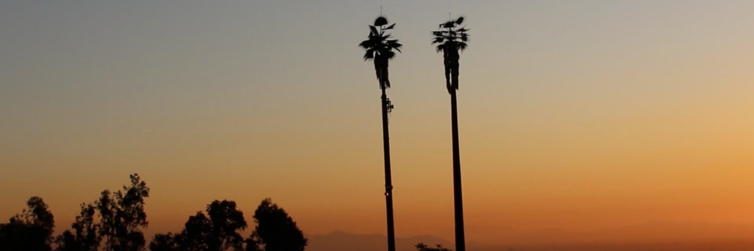 diegonoguerab's profile banner image
