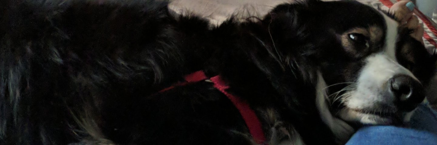 OkayyVictoriaa's profile banner image