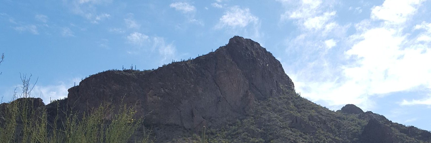 MeganKRein's profile banner image