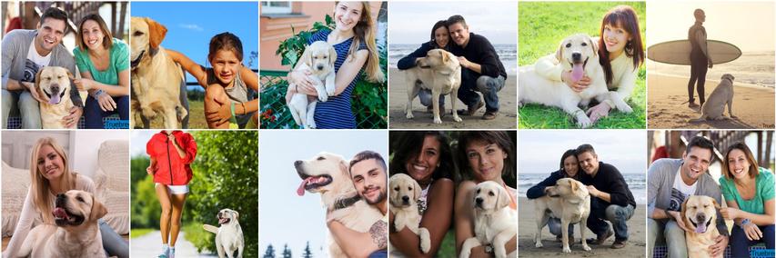 labradorpups's profile banner image