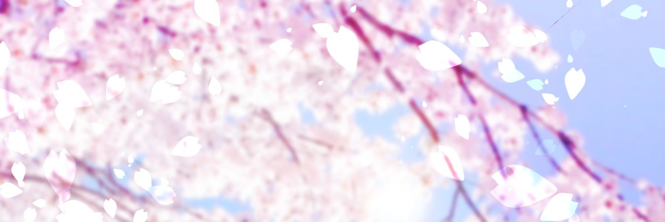 Qualle_Canon's profile banner image