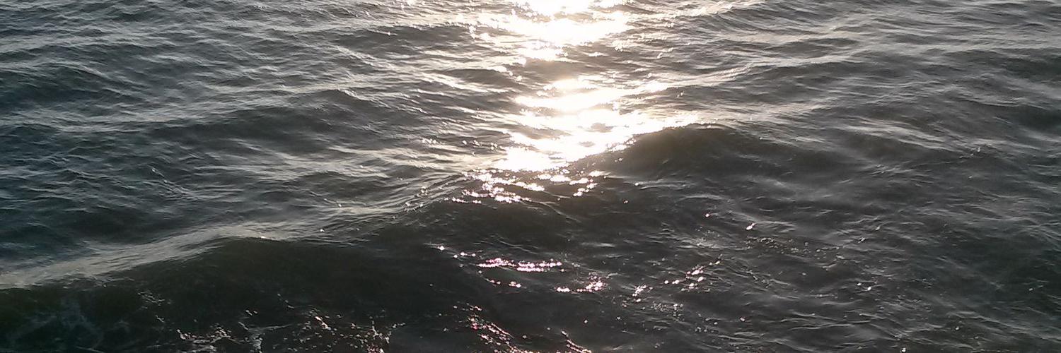 AustenParros1's profile banner image